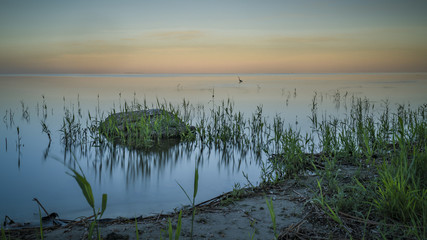 Nida - kurische Nehrung - Baltikum - Abendstimmung am Meer mit Gräsern, Steinen und Tieren