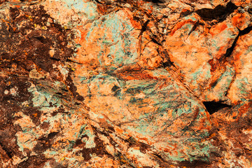 A background for designers. Abstract texture.