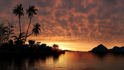 Fototapeta na wymiar Palm trees silhouette on orange sunset