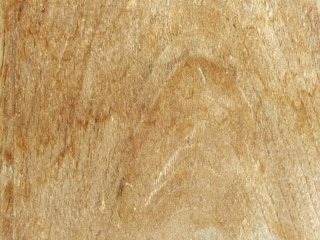 wood texture background old panels
