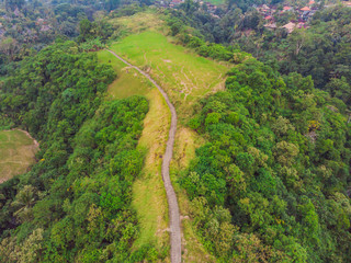 Fototapeta na wymiar Aerial picture of Campuhan Ridge Walk , Scenic Green Valley in Ubud Bali. Photo from the drone