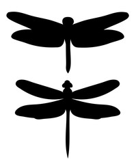 insect dragonfly silhouette