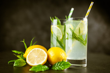 Tarragon lemonade drink