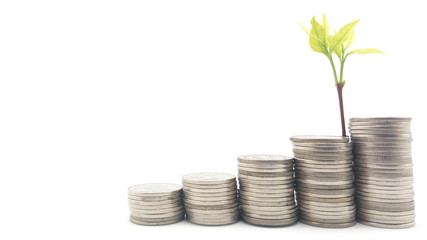 Saving money concept. Growing plant on coins stack on solid white background