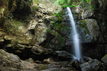 日本の滝_兵庫県_鮎家の滝