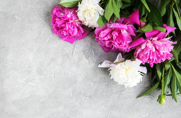 beautiful pink and white peony flowers