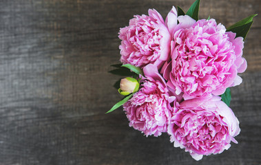 Pink peony flowers © Olena Rudo