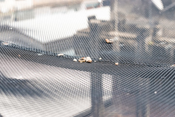 bird droppings on grille of satellite dish