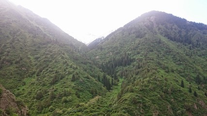 Fototapeta premium Mountains