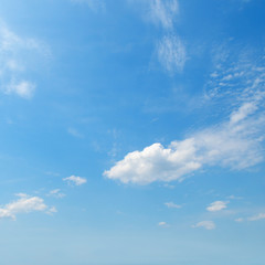 Naklejka na ściany i meble light clouds in the blue sky