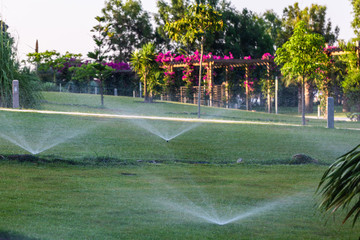 Water spray. Automatic lawn watering. Sprinkling