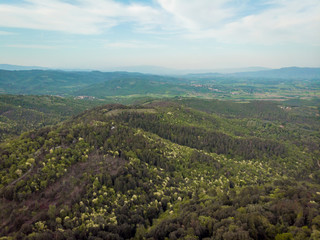 Naklejka na ściany i meble aerial view of beautiful hills with trees in arezzo province, Italy