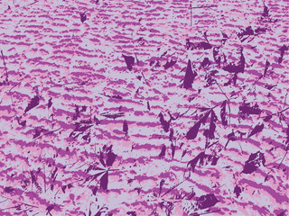 Purple maple leaves shabby prints on purple texture background, graphical vector illustration