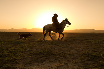 horses, cowboys, dogs at sunset