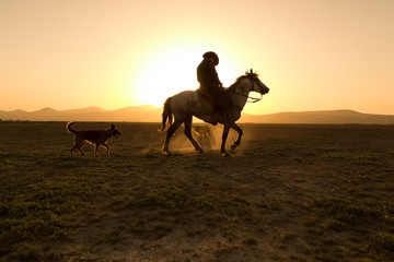 Fototapeta na wymiar horses, cowboys, dogs at sunset