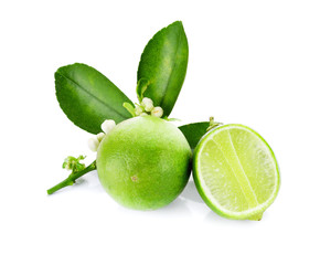 limes isolated on white background