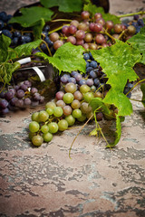 Wine in bottle and different types of grape on concrete background.