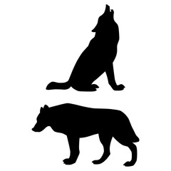 Black silhouettes of of howling and walking wolves isolated on white background. Vector illustration EPS 8