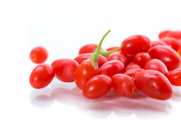 red ripe goji berry on a branch isolated on a white