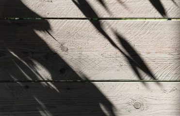 Whitewashed pine planks in sunlight with deep shadows. Close up. © stevem