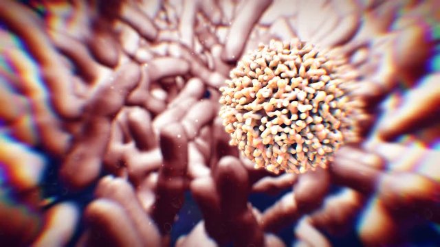 virus in motion under the microscope. covid-19, coronavirus