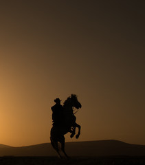 horse, cowboy,  at sunset