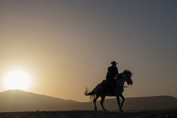 horse, cowboy,  at sunset