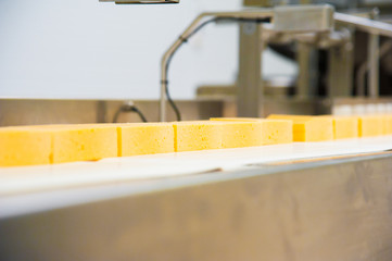 Industrial production of hard cheeses