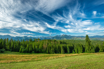 Fototapeta na wymiar Landscape, Tatra Mountains, Poland