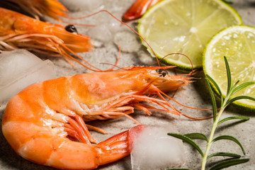 Tiger shrimps with lime, lemon, rosemary and black pepper spices on stone background. Fresh tasty prawns ready to be cooked.
