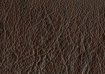 Leather Background Texture