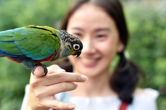 Environment human and nature concept, Parrot bird on young girl hand, Smiling woman playing with her bird pet.
