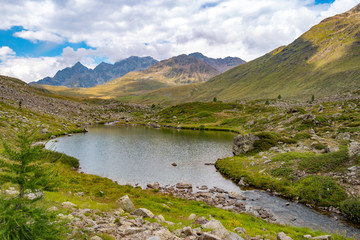 little alpine lake, Viola Valley, Stelvio National Park, Alps, Italy