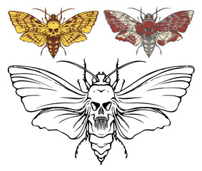 Illustration of a butterfly Dead head with a skull-shaped pattern on the thorax. Vector banner with realistic moth close up top view, black and white and colored