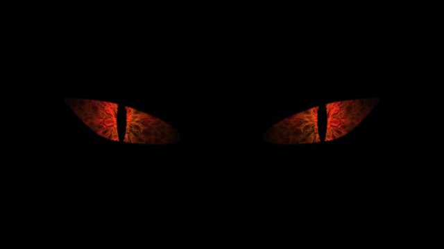 Orange cat eyes blinking Loop.