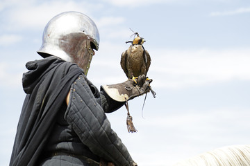 Person wearing a medieval helmet and carrying a peregrine falcon (Falco peregrinus)