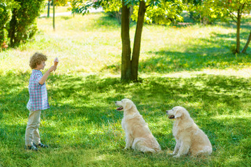 Two dogs in front of their master