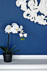 House interior in blue and white tones. It can be used as a background