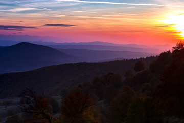 Sunset over hills covered with autumn trees