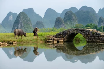 Peel and stick wall murals Guilin Guilin's karst landscape