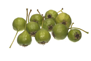 pear isolated on white background