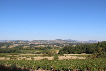 Paysage beaujolais