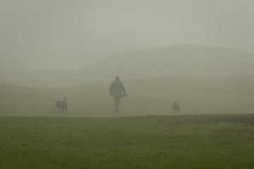 Dogwalker with two dogs in a park in fog
