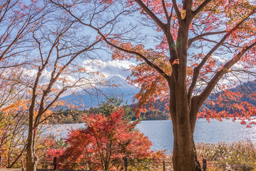 Fototapeta premium Autumn Season and Mountain Fuji at lake Kawaguchiko