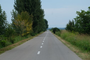 Fototapeta na wymiar Tree lined country road, Romania