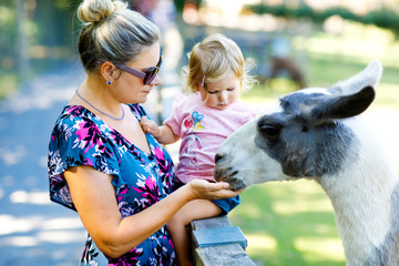 Adorable cute toddler girl and young mother feeding lama on a kids farm. Beautiful baby child petting animals in the zoo. woman and daughter together © Irina Schmidt