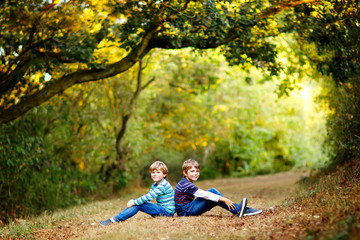 Portrait of little school kids boys sitting in forest. Happy children, best friends and siblings having fun on warm sunny day early autumn. Twins and family, nature and active leisure.