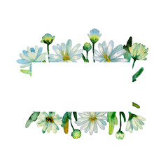 Floral watercolor background. Hand drawn chrysanthemum flowers, branches, leaves. Chrysanthemum Flower. Copy space for text, design card, wedding invitation, greeting, letter, poster, broadsheet, menu