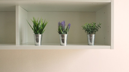Artificial plants or fake tree on white Shelves for decoration.
