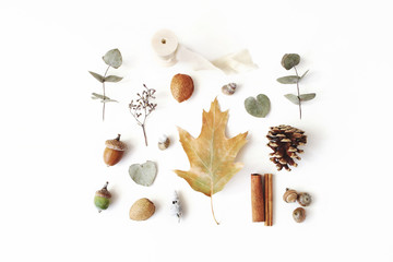 Autumn styled botanical arrangement. Composition of acorns, pine cones, dried eucalyptus and oak...